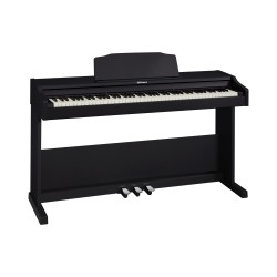 Roland RP102BK