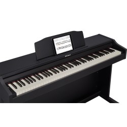 Roland RP102BK