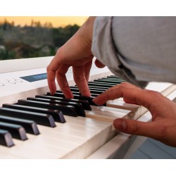 Roland FP-90X-WH