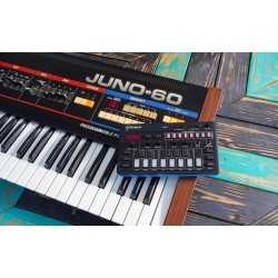 Roland J-6