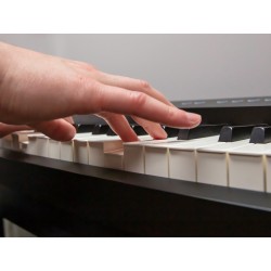 Roland FP-E50