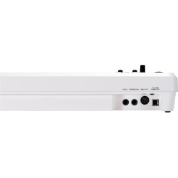 Roland A-49-WH