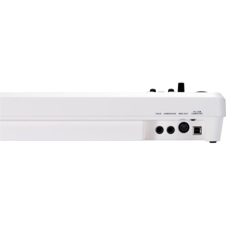 Roland A-49-WH