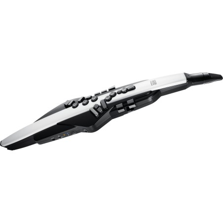 Roland Aerophone AE-20