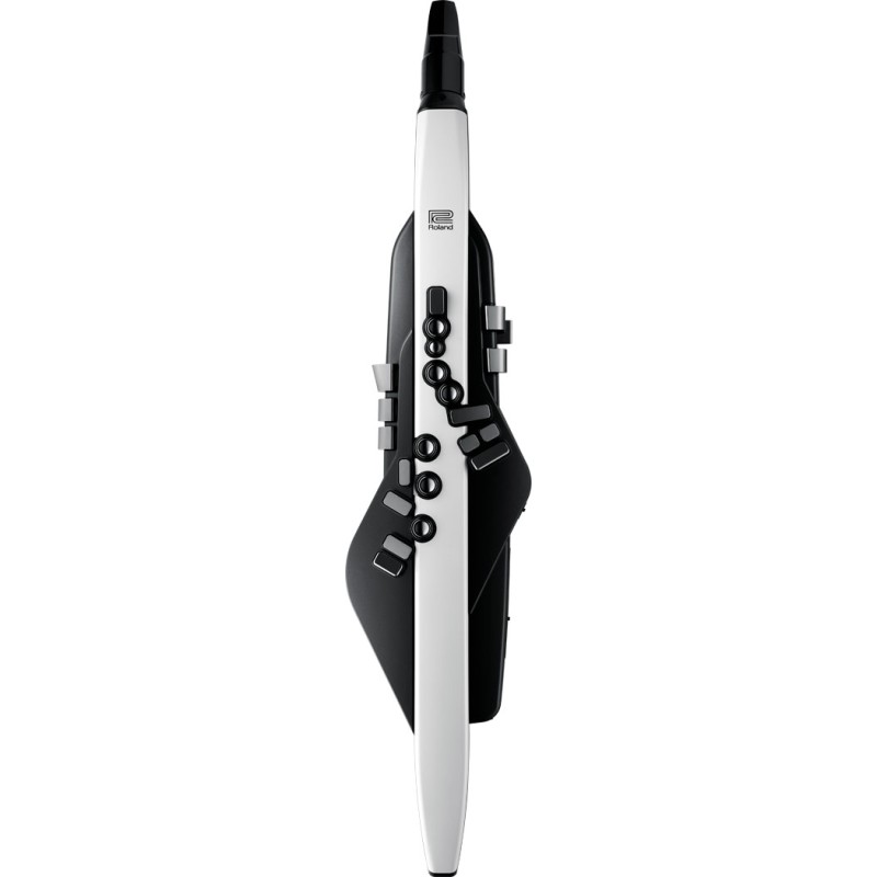 Roland Aerophone AE-20
