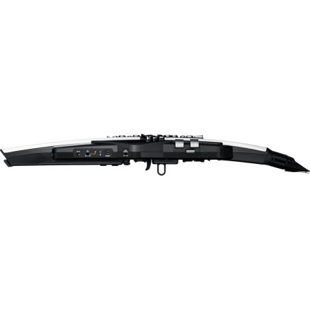 Roland Aerophone AE-20