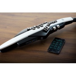 Roland Aerophone AE-20