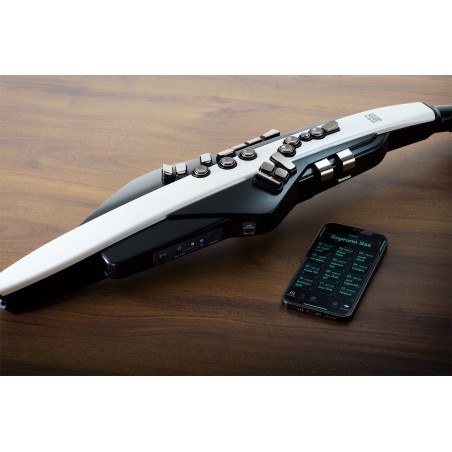 Roland Aerophone AE-20
