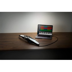 Roland Aerophone AE-20