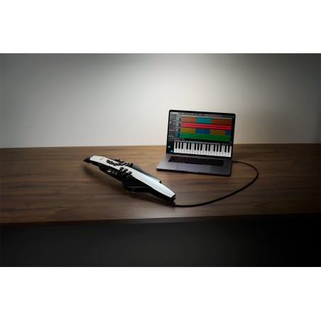 Roland Aerophone AE-20