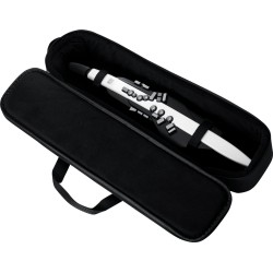 Roland Aerophone AE-20