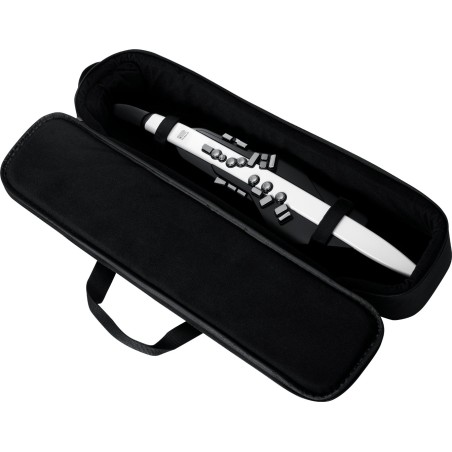 Roland Aerophone AE-20