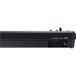 Roland A-49-BK