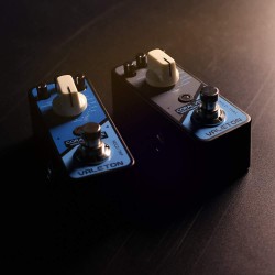 Valeton CRL-8 Coral Mod II