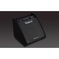 Roland PM-200