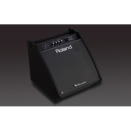 Roland PM-200