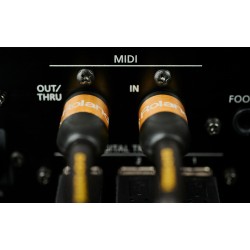 Roland RMIDI-G10