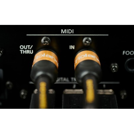 Roland RMIDI-G10