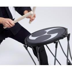 Roland TAIKO-1