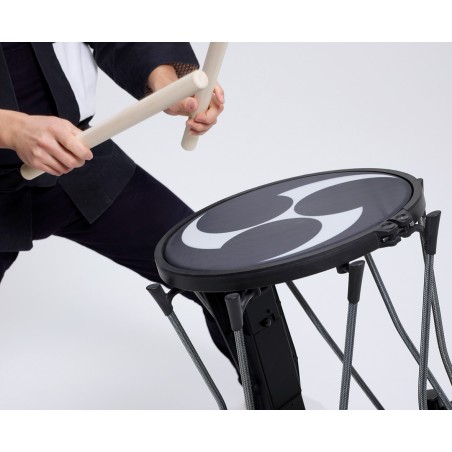 Roland TAIKO-1