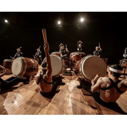 Roland TAIKO-1