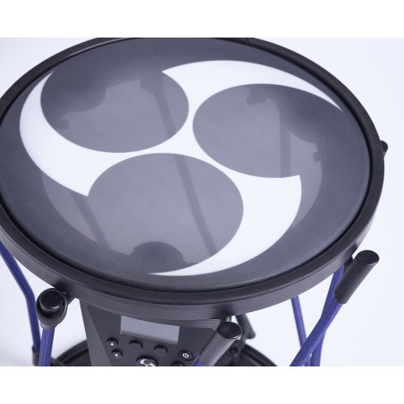Roland TAIKO-1
