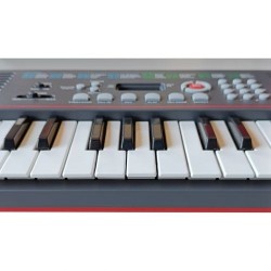 Alysee Akb-32