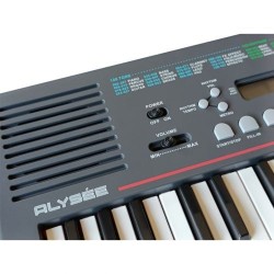 Alysee Akb-32