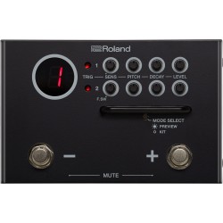 Roland TM-1