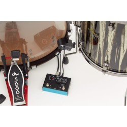 Roland TM-1