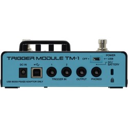 Roland TM-1