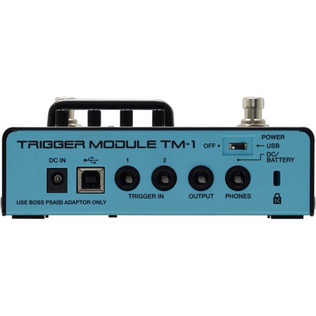 Roland TM-1