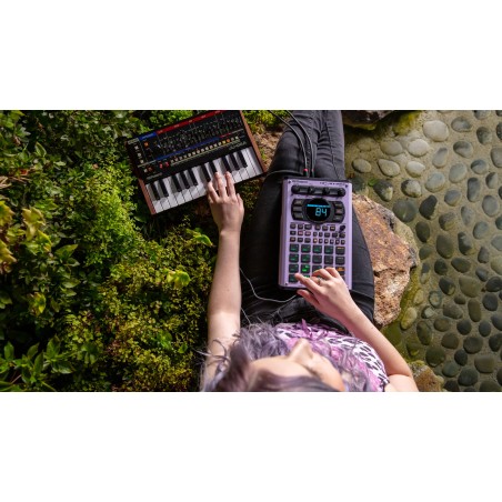 Roland SP-404MKII