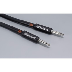 Roland RIC-B10