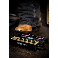 Roland EC-10M