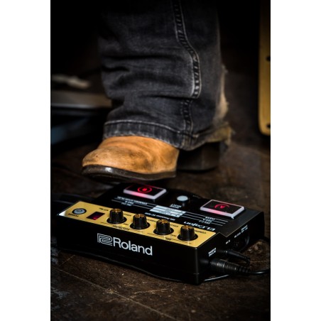 Roland EC-10M