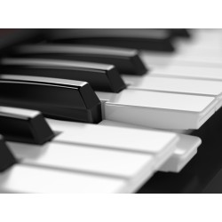 Roland JUNO-DS61