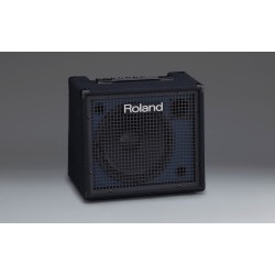 Roland KC-200