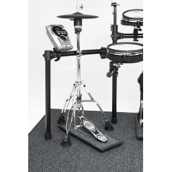 Roland NE-10