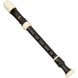 Aulos 503B