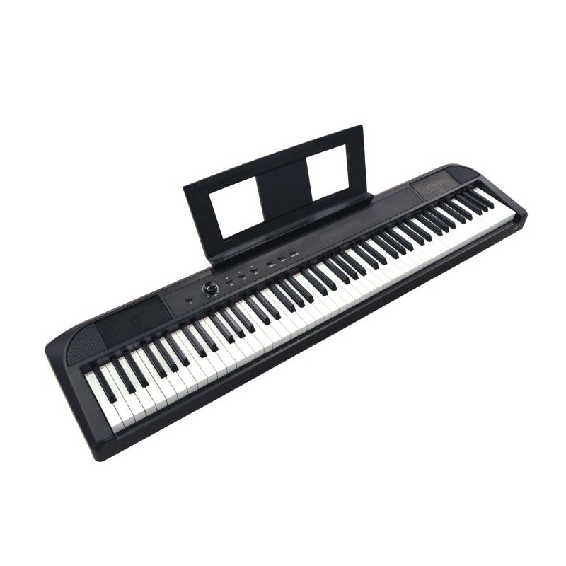 E-CHORD DP-1