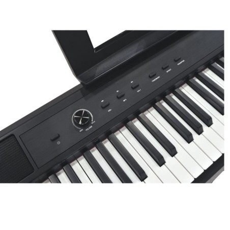 E-CHORD DP-1