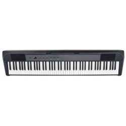 E-CHORD DP-1