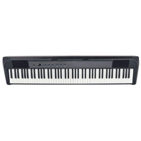 E-CHORD DP-1