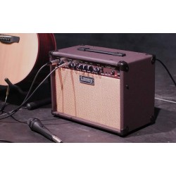 Laney LA30D