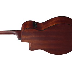 Ibanez AEG50-BAM Black Aurora Burst Matte