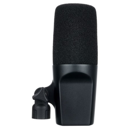 sE Electronics Dynacaster DCM 6