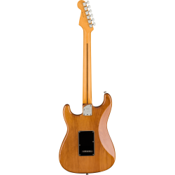 Fender American Professional II Stratocaster RW Roasted Pine