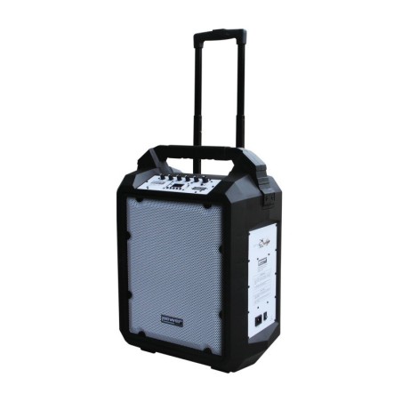Power ACOUSTICS Funmove 200