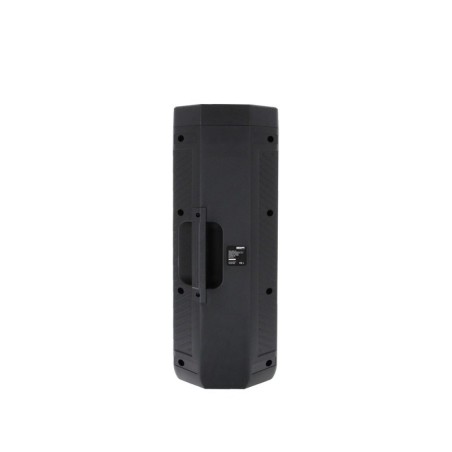 Power ACOUSTICS Gofun 100